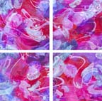 quadruplexity-d