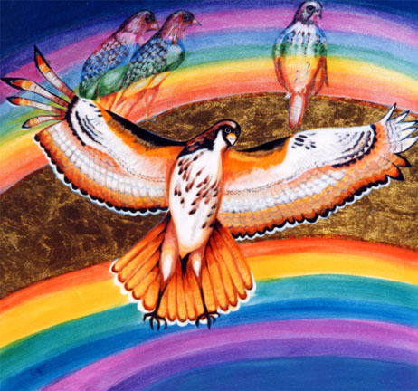 33-RainbowsRaptors