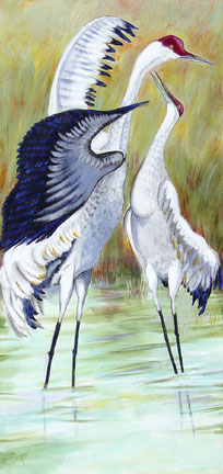 364-courting
