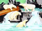 f267-polarsplaying