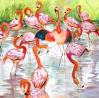 d335-flamingofrolic