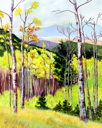 i310-aspenvista