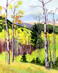 i310-aspenvista