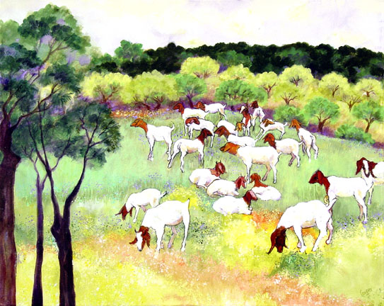 b301-boergoats