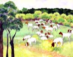 b301-boergoats
